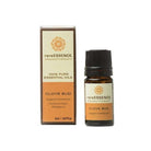 Clove Bud Essential Oil