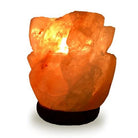 Carved Natural Himalayan Salt Lamps rose