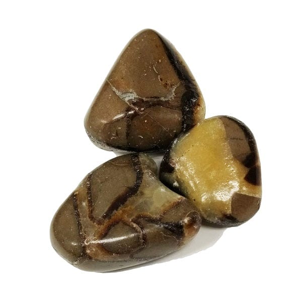 Septarian for public communication, confidence, shielding